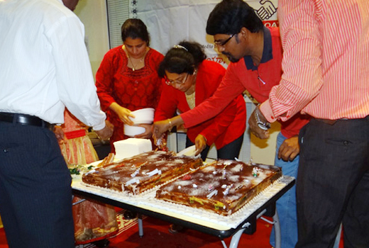 Mangalore Cricket 1